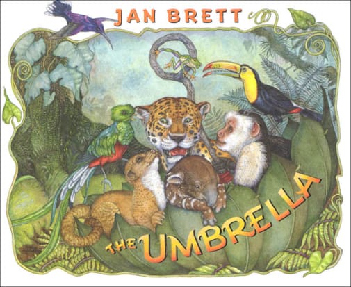 The Umbrella by Jan Brett
