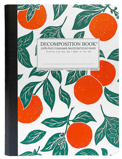 Oranges Decomposition Book College Ruled (7.5" x 9.75")