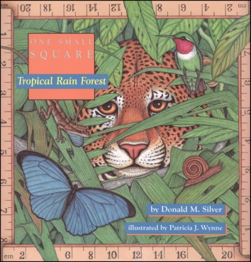 One Small Square: Tropical Rain Forest