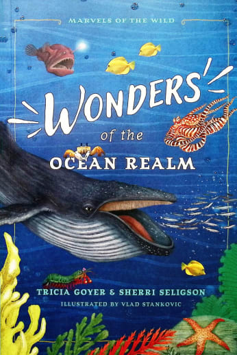 Wonders of the Ocean Realm