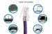 Cat6 Ethernet Patch Cable, Non-Booted, UTP, 7 ft, Purple