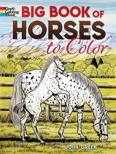 Big Book of Horses Coloring Book