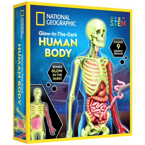 Glow-in-the-Dark Human Body Kit (National Geographic)
