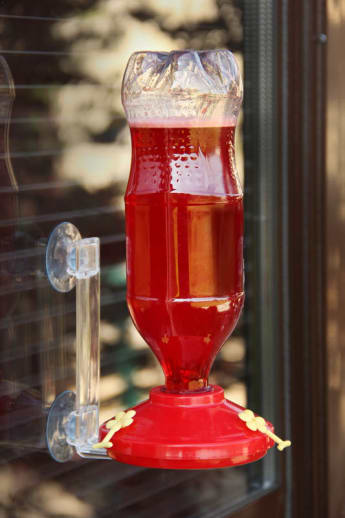 Hummingbird Window Feeder