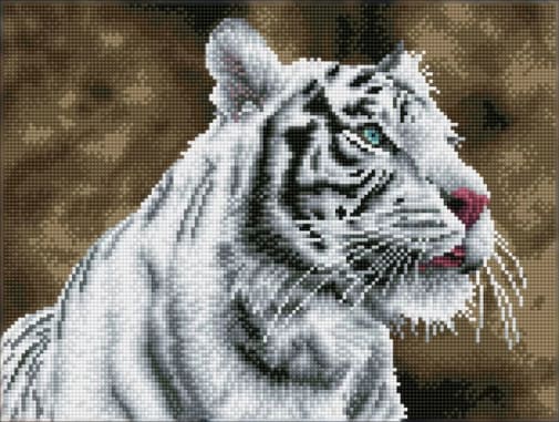 Square Facet Art Kit - Tiger Blanc