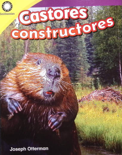 Castores constructores (Building a Beaver Lodge)
