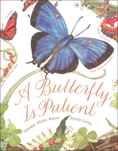 Butterfly Is Patient