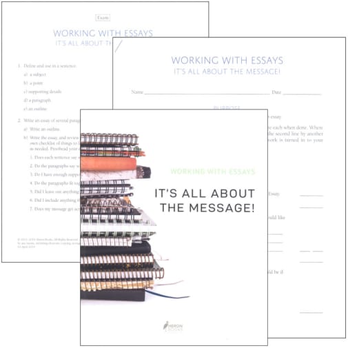Working with Essays: It's All About the Message! Set