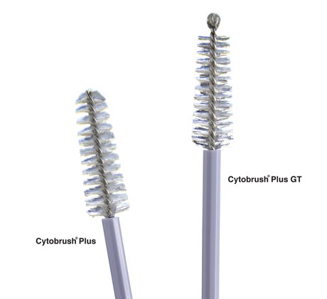 Cytobrush Plus Cytology Brush, 196 mm Length MK 176291