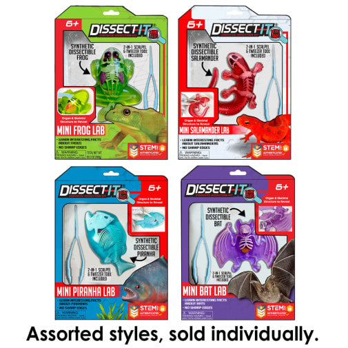 Dissect-It Mini Lab (assorted style)