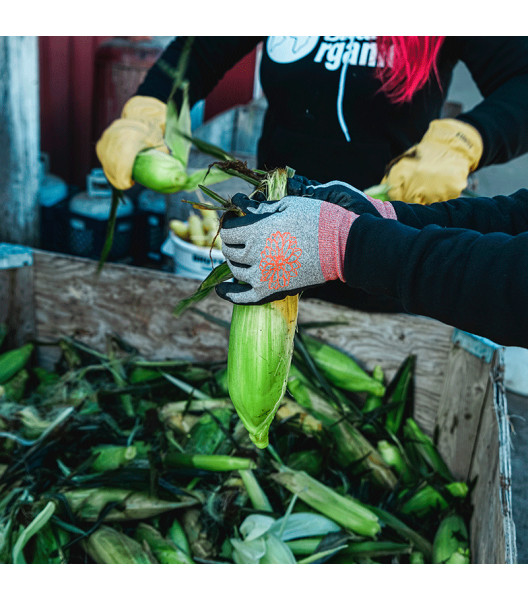 Women&rsquo;s Nylon-Spandex Knit Shell & CoolCoat&trade; Micro-Foam Nitrile Palm, Gray, large