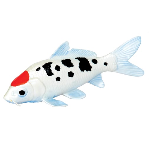 Tancho Koi (Incredible Creatures)