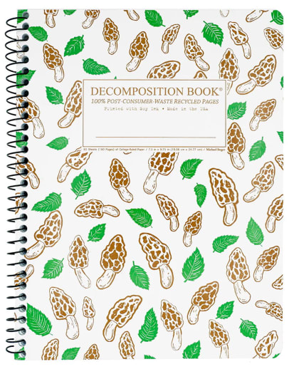 Forest Floor Decomposition Book College Ruled (7.5" x 9.75")