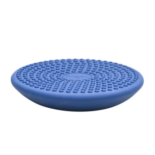 Balance Cushion Sensory Seat