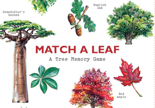 Match A Leaf Tree Memory Game