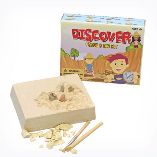 Discover Fossil Dig Kit