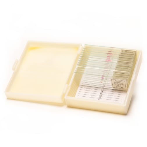 Basic Zoology Prepared Slide Set