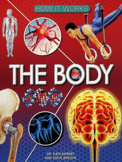 How it Works: Body