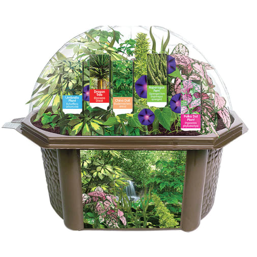 Rainforest Eco-Biosphere