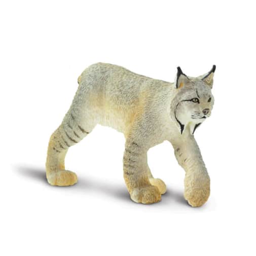 Safari Lynx (North American Wildlife Collection)