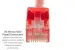 Cat5e Ethernet Patch Cable, Snagless, UTP, 1 ft, Red