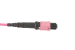 MTP® Cable 12-Strand Corning ClearCurve®, OM4, Type B, Female Key Up to Female Key Up, OFNP, UPC, 1 Meter