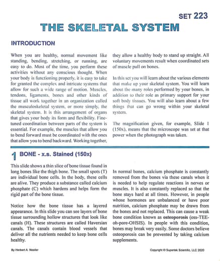 Skeletal System Microslide Lesson Set