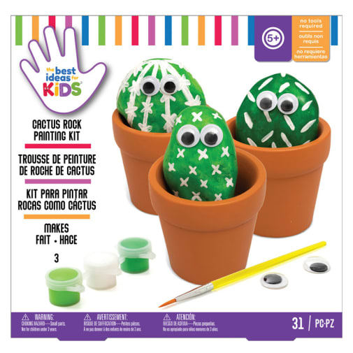 Cactus Rock Painting Kit
