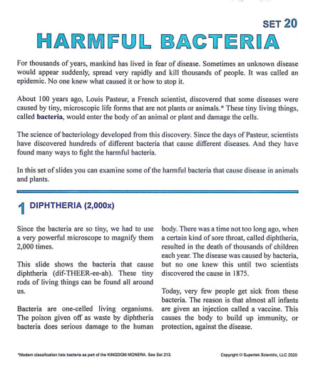 Harmful Bacteria Microslide Lesson Set
