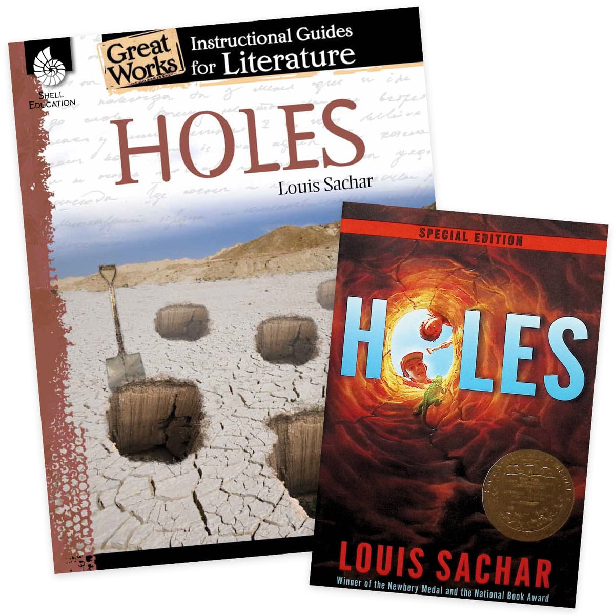 Holes Instructional Guide for Literature Set