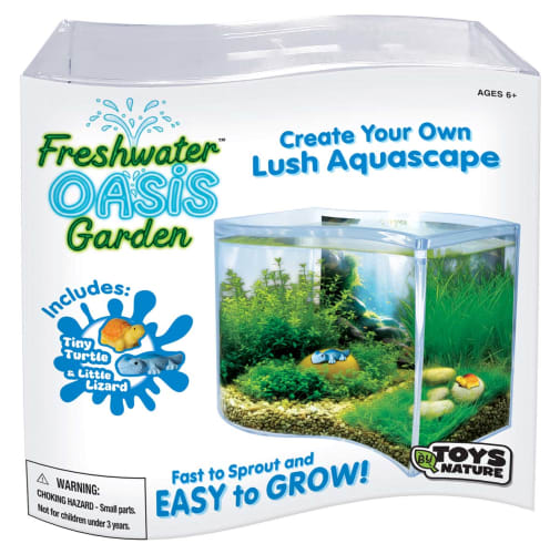 Freshwater Oasis Garden