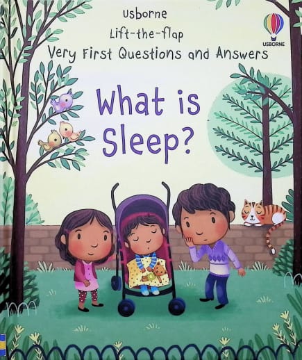 What is Sleep? (Usborne Lift-the-Flap Very First Questions and Answers)