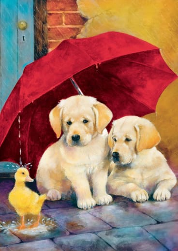 Everything's Ducky Puzzle (60 pieces)