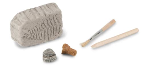 Fossil Dig Palaeontology Kit