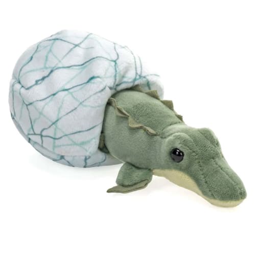 Hatchling Crocodile 6" Plush