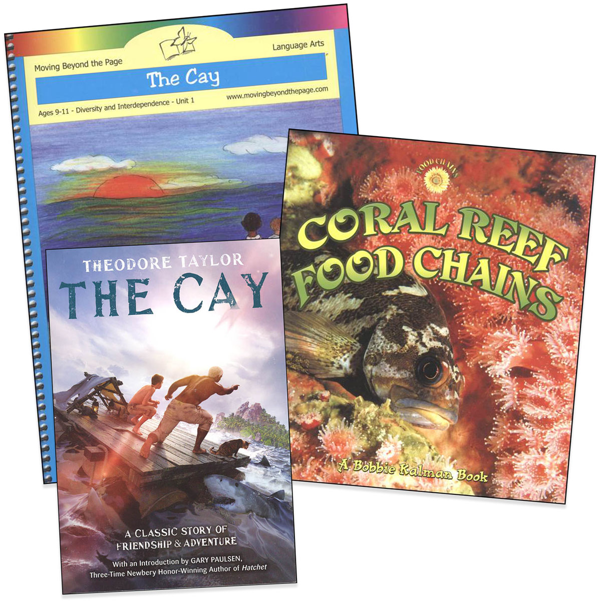 Cay Literature Unit Package