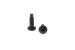 Rack Screws, 10-32 Thread, Phillips Head (Qty 50)