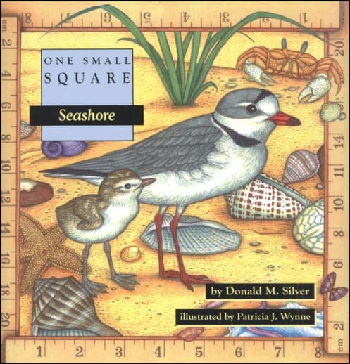 One Small Square: Seashore