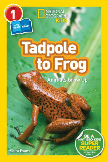 Tadpole to Frog (National Geographic Reader Level 1/Co-reader)