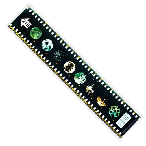 Microslide, Marine Biology Set