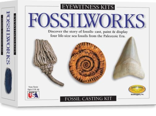 Eyewitness Fossilworks Kit