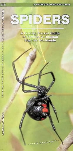Spiders: A Folding Pocket Guide to Familiar & Unusual Species Worldwide