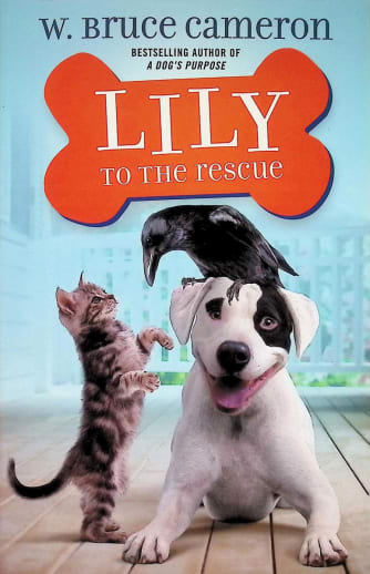 Lily to the Rescue (Book 1)
