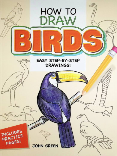 How to Draw Birds
