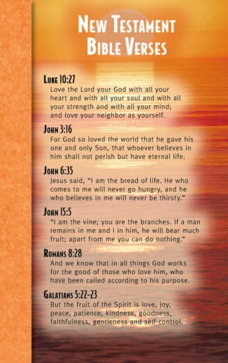 New Testament Bible Verses Mind & Heart Memory Card