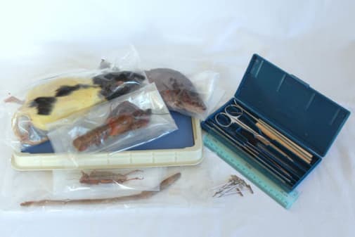 BJU Press Biology Dissection Kit Grade 10