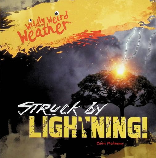 Wildly Weird Weather: Struck by Lightning!