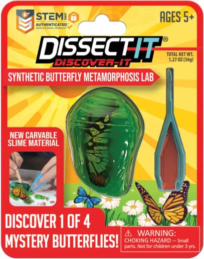 Dissect-It Mini Butterfly Chrysalis Lab