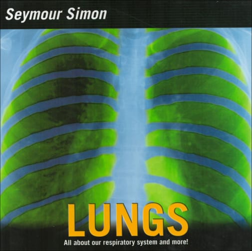 Lungs: All About Our Respiratory System and More!