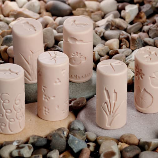 Pond Life (Let's Roll)